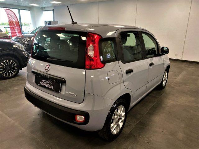 FIAT Panda 1.0 FireFly Hybrid Easy