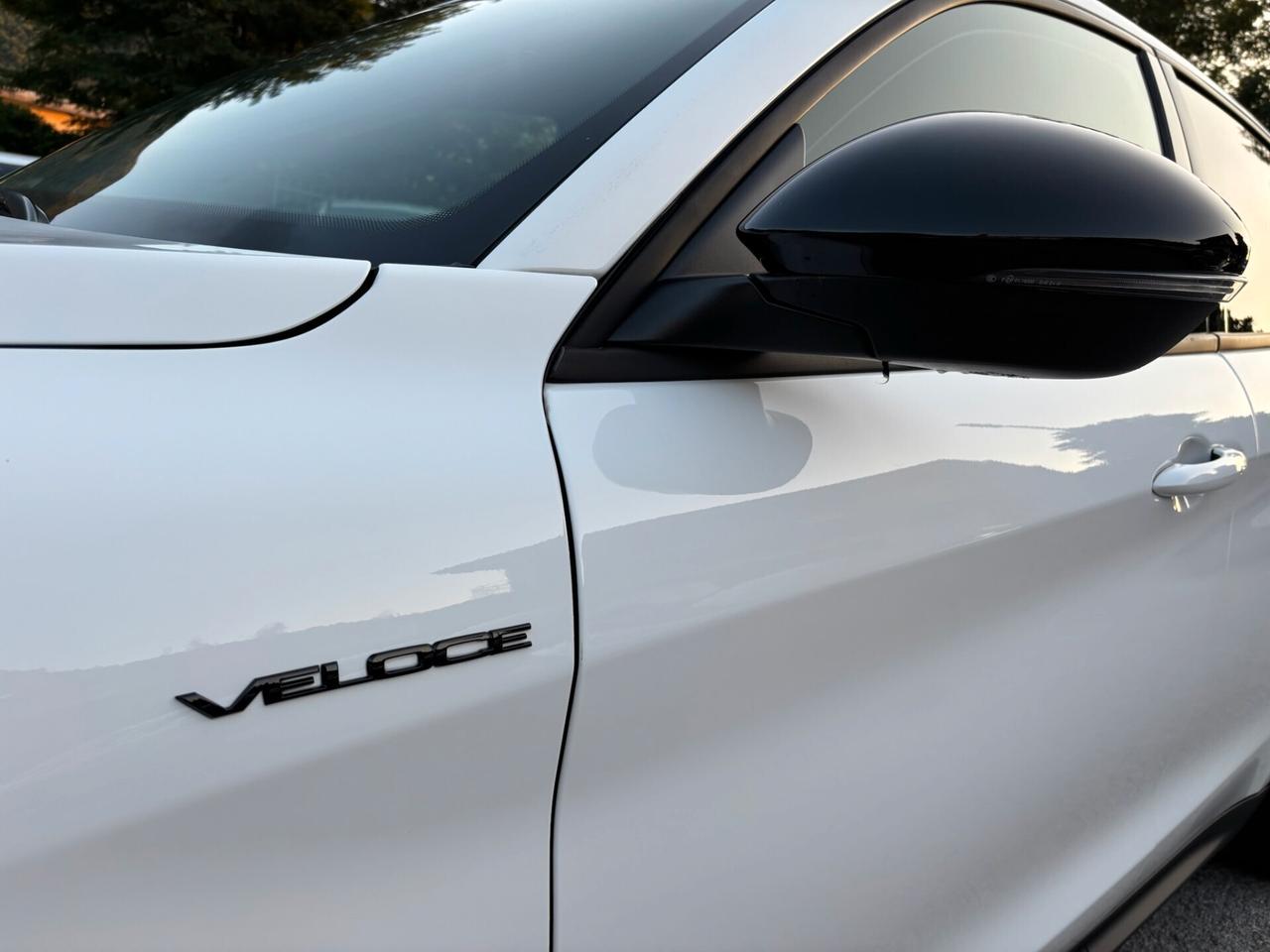 Alfa Romeo Stelvio 2.2 TD 190 CV AT8 Q4 VELOCE