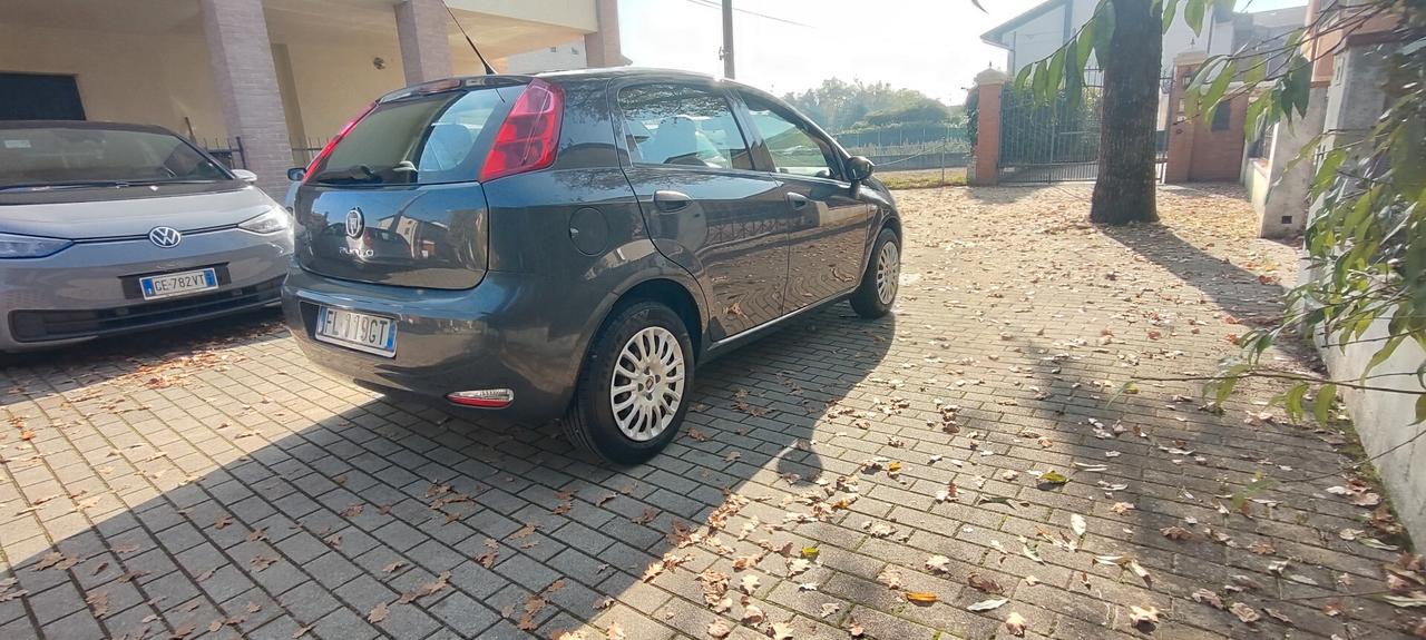 Fiat Punto 1.2 8V 5 porte Street