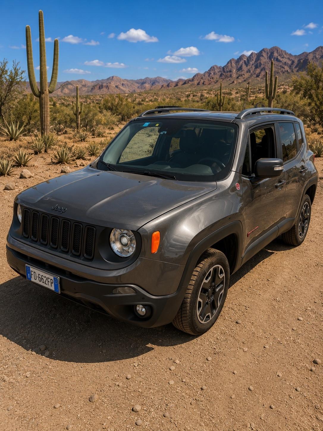 Jeep Renegade 2.0 Mjt 170CV 4WD Active Drive Low Trailhawk