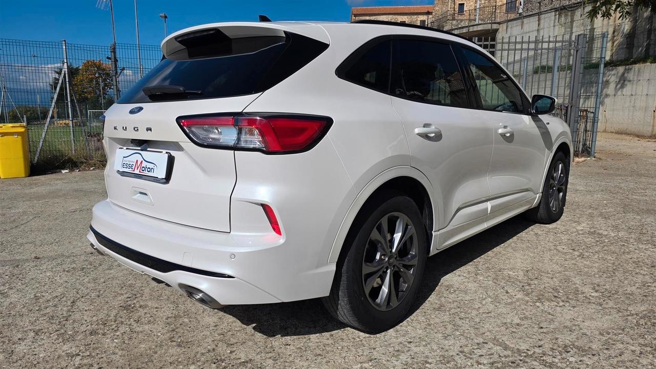 Ford Kuga 1.5 EcoBlue 120 CV aut. 2WD ST-Line X