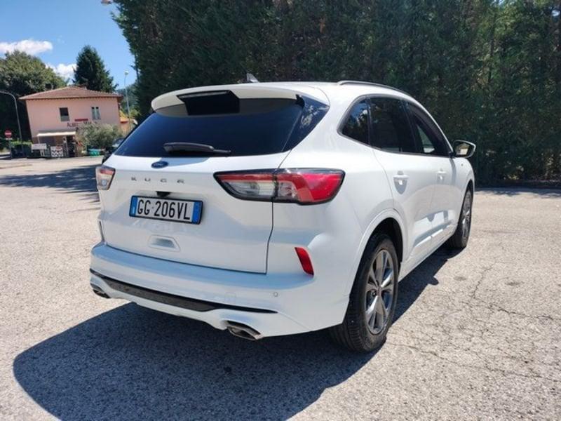 Ford Kuga Kuga 1.5 EcoBlue 120 CV 2WD ST-Line