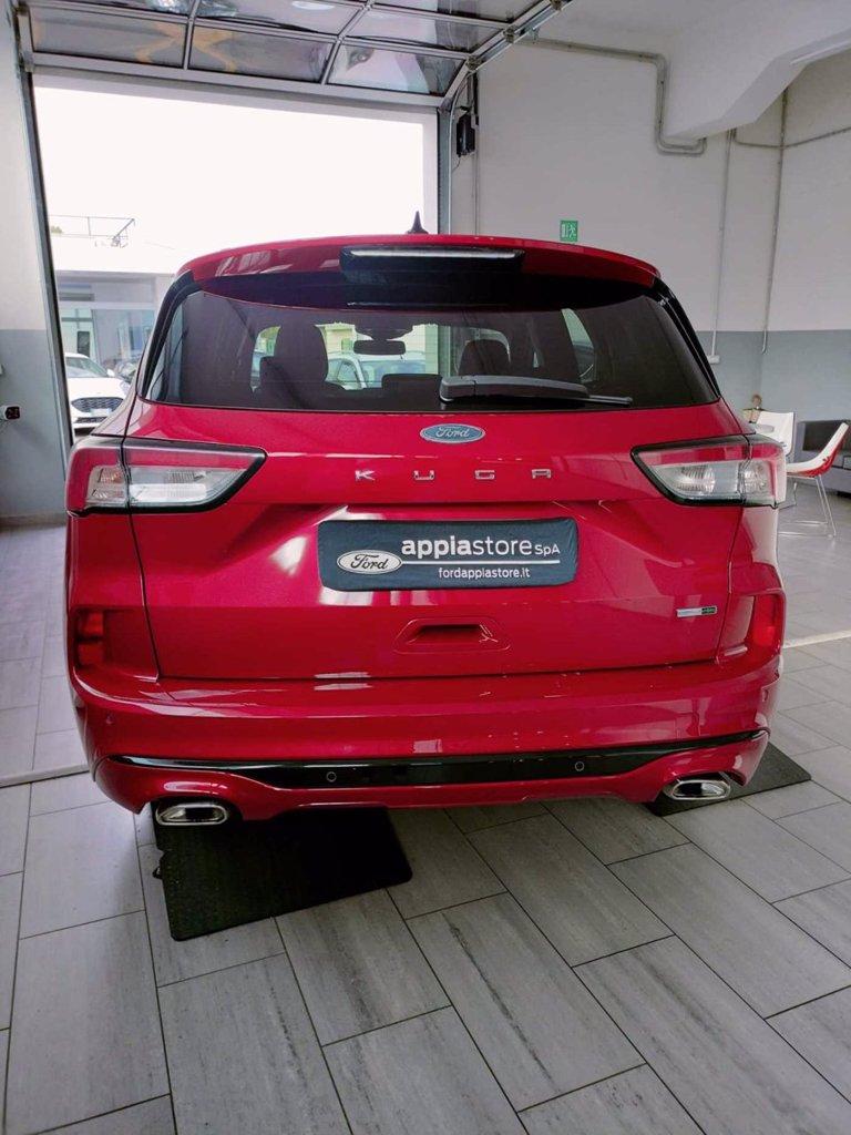 FORD Kuga 2.0 EcoBlue Hybrid 150 CV 2WD ST-Line X del 2020