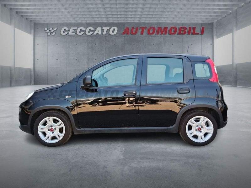 FIAT Panda Panda 1.0 firefly hybrid s&s 70cv 5p.ti