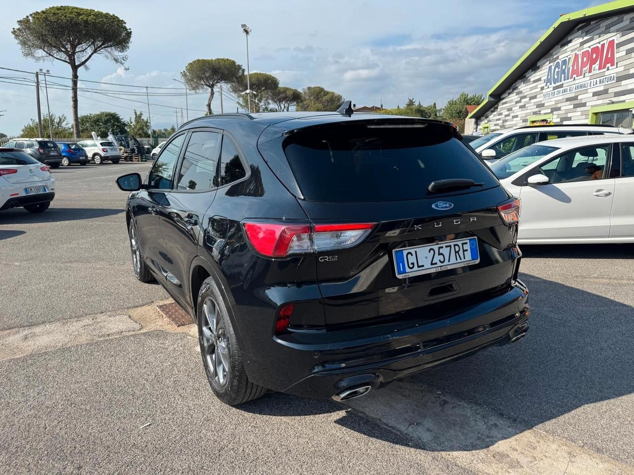 Ford Kuga 2.0 EcoBlue 120CV aut. AWD ST-Line X