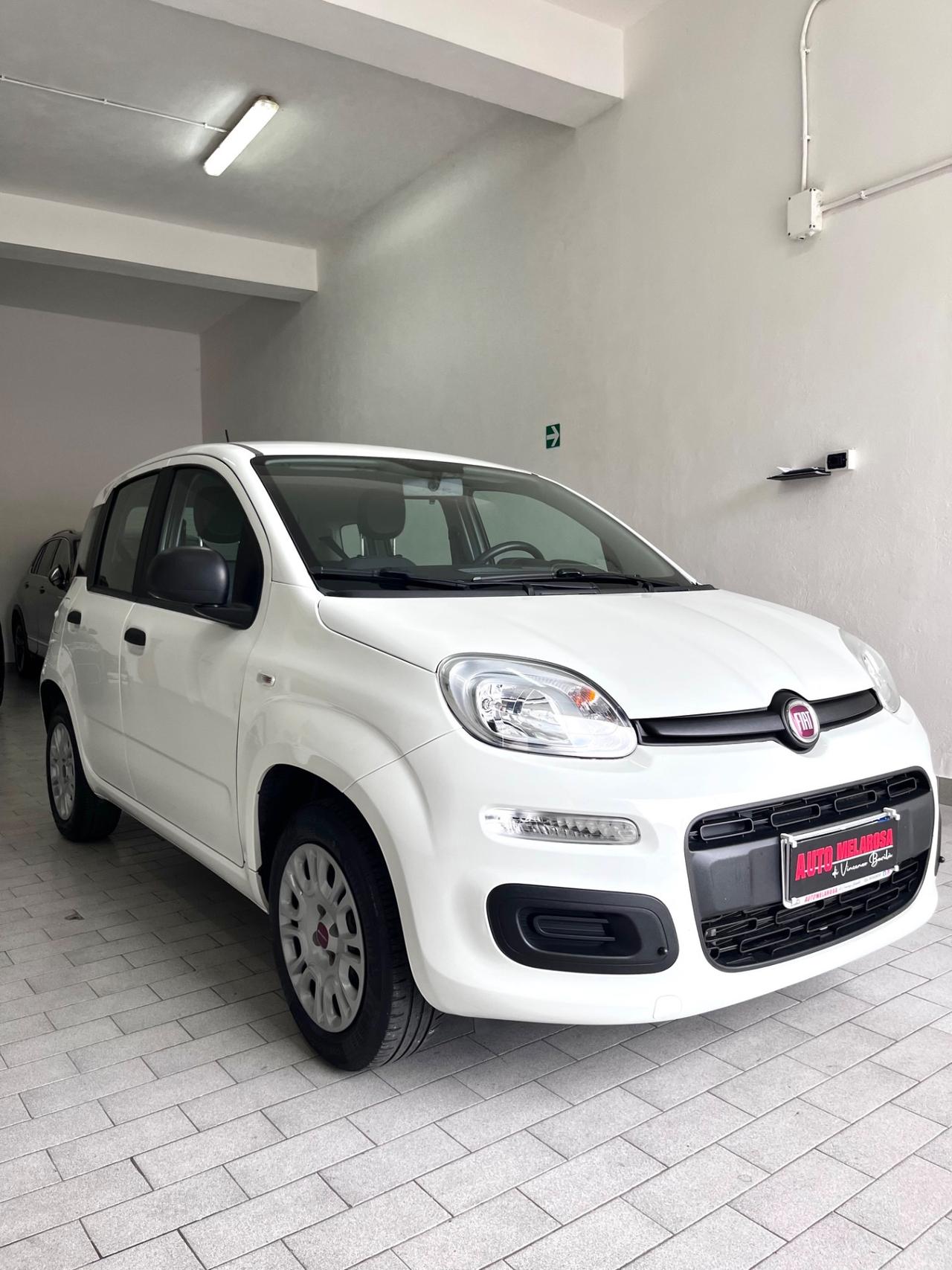 Fiat Panda 1.2 Easy
