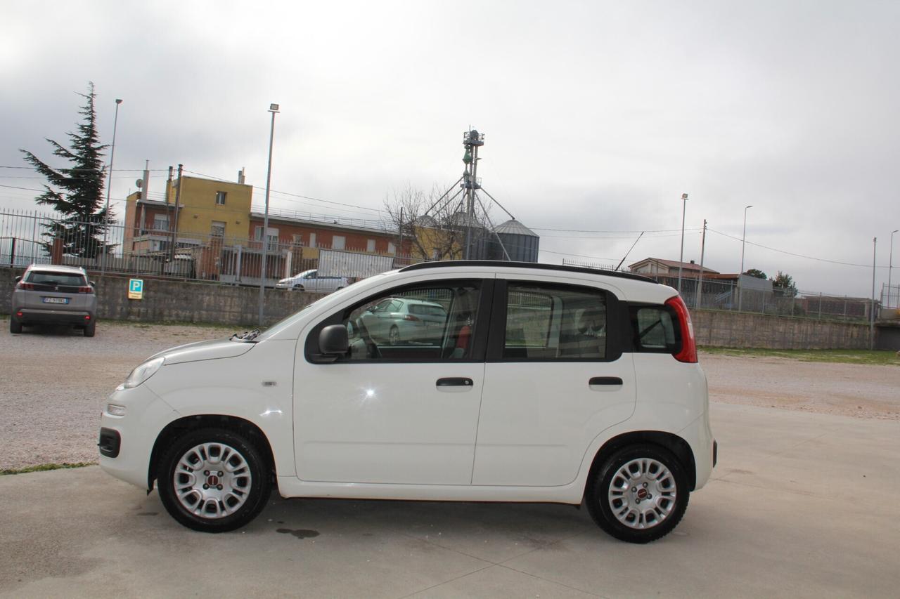 Fiat Panda 1.2 Easy (KW 51 CV 70 Neopatentati)