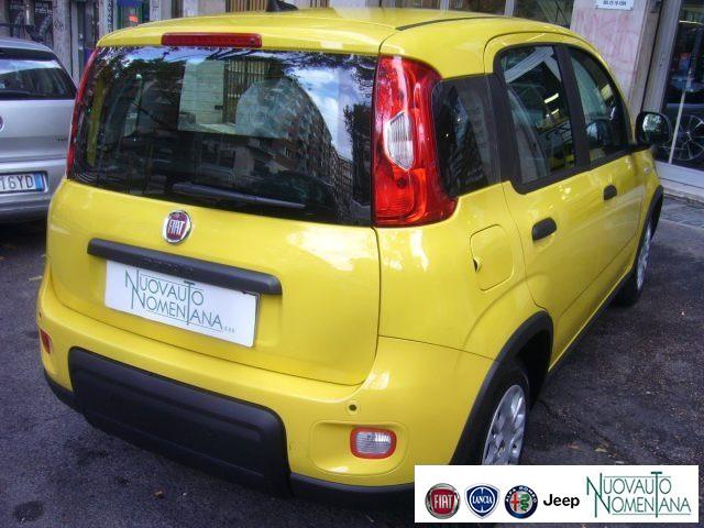 FIAT Panda 1.0 FireFly S&S Hybrid Pandina Urban Km 0