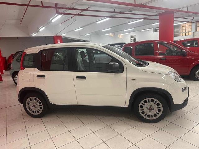 FIAT Panda La soluzione "Car SERENITY"