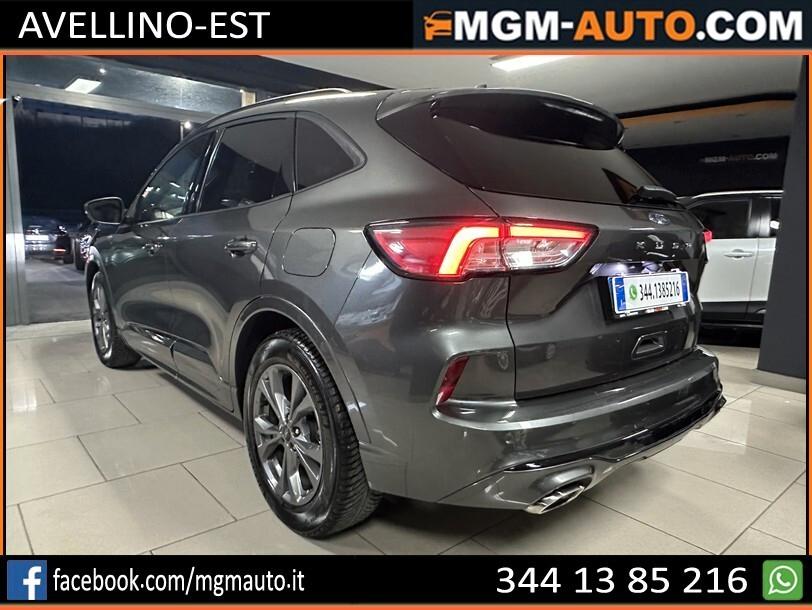 Ford Kuga 1.5 EcoBlue 120 CV aut. 2WD ST-Line X