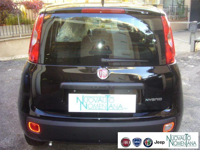 FIAT Panda 1.0 FireFly S&S Hybrid Pop Km0 Pronta Consegna
