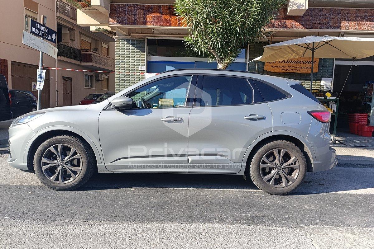 FORD Kuga 1.5 EcoBlue 120 CV aut. 2WD ST-Line