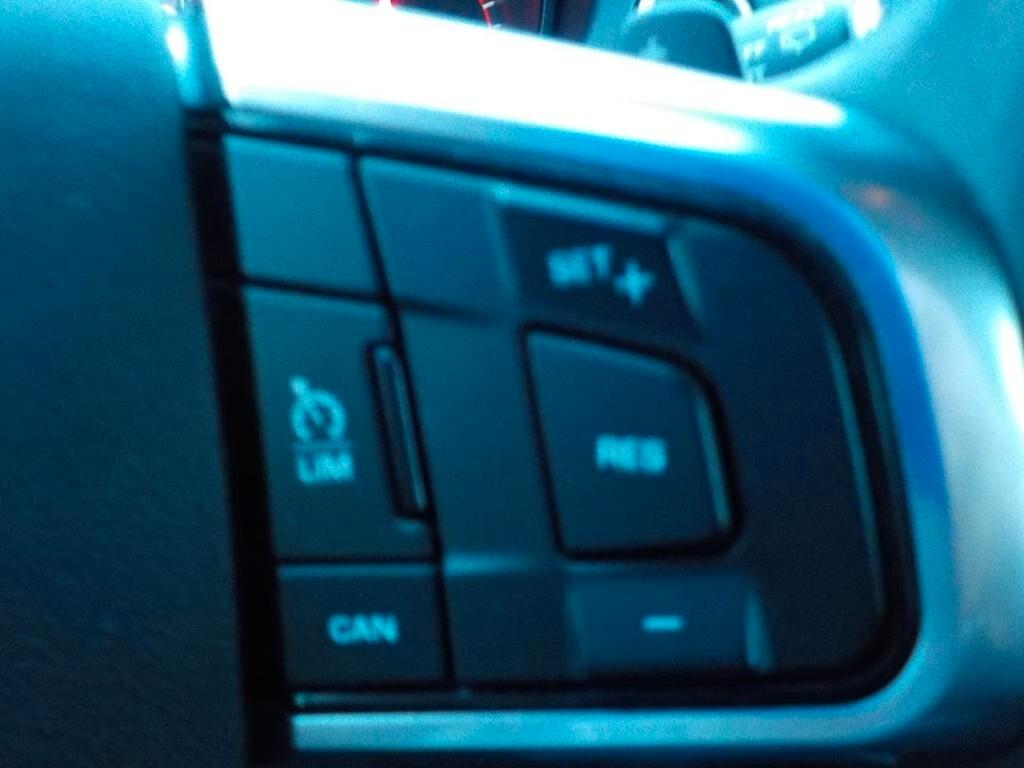 Land Rover Discovery Sport 2.0 TD4 150 CV Auto Business Ed.Premium Pure