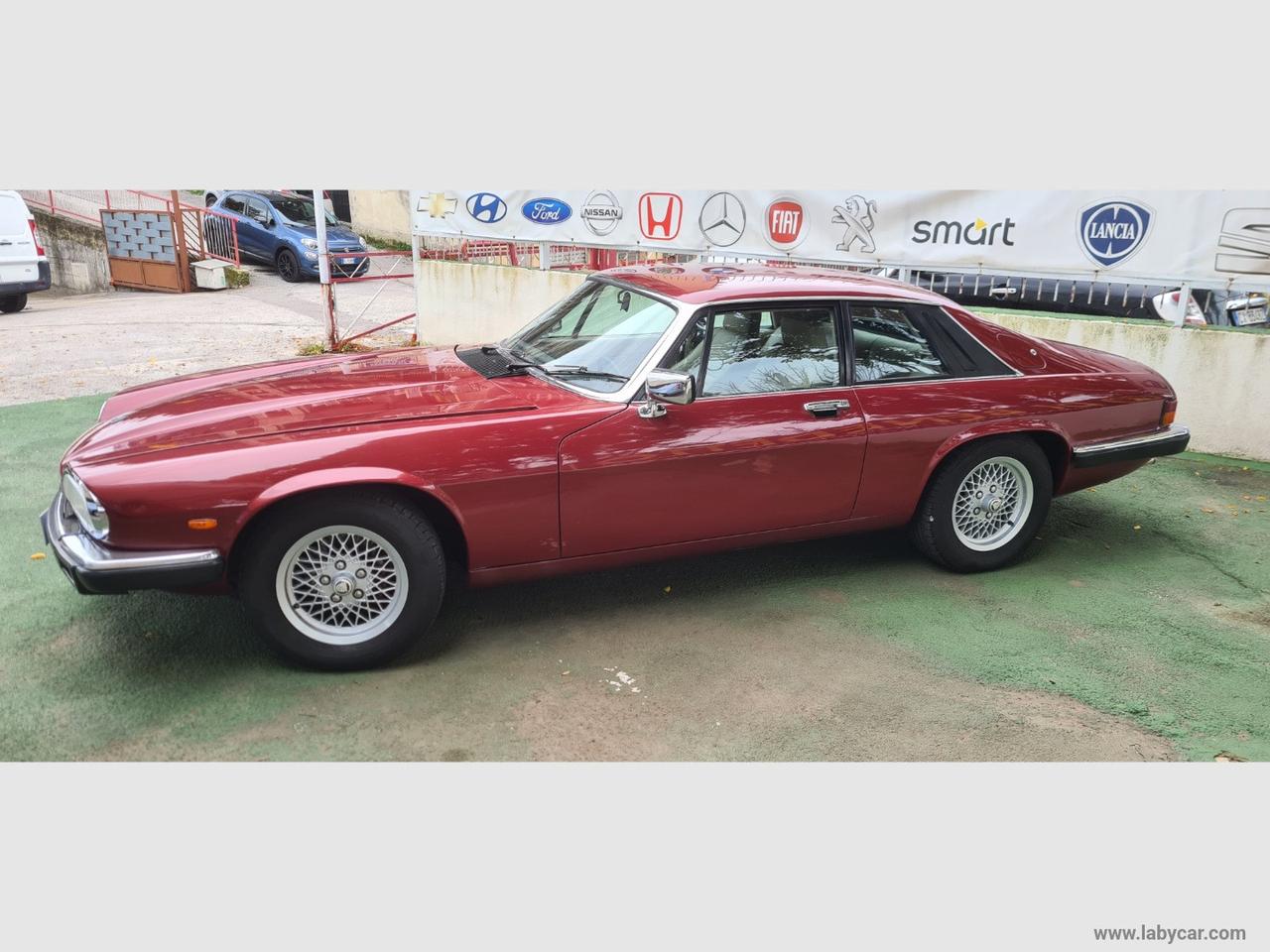 JAGUAR XJ-S 3.6 Coupé BELLISSIMA