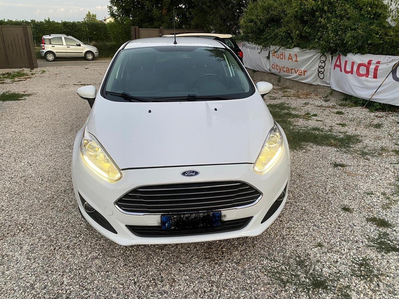 Ford Fiesta 1.4 5 porte Bz.- GPL Black & White Edition