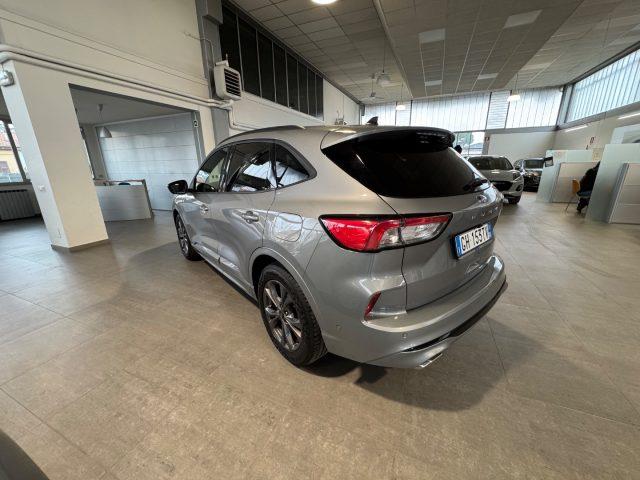 FORD Kuga 1.5 EcoBlue 120 CV 2WD ST-Line