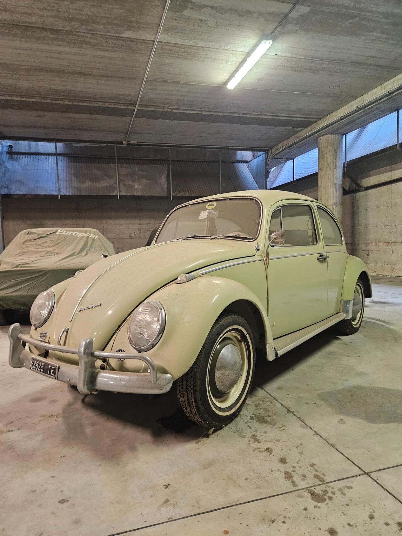 Volkswagen Maggiolino 6v