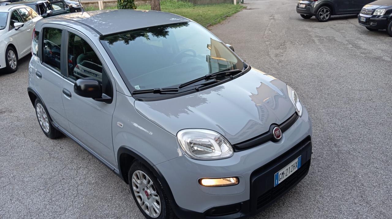Fiat Panda 1.0 FireFly S&S Hybrid City Life