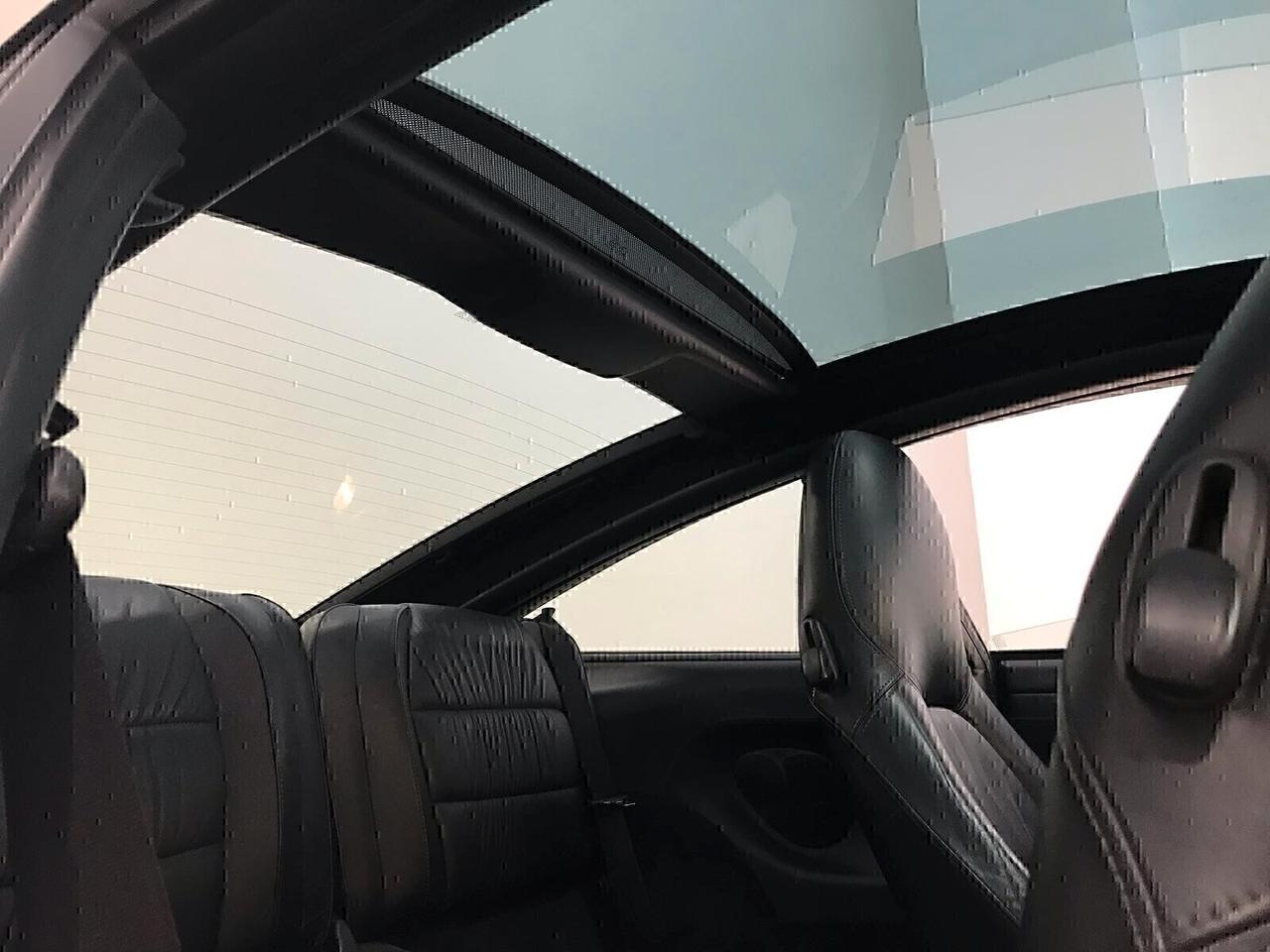 Porsche 911 Targa cat