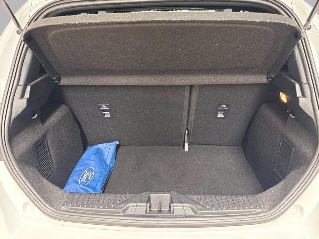 FORD Fiesta 1.0 Ecoboost Hybrid 125 CV 5 porte ST-Line del 2023