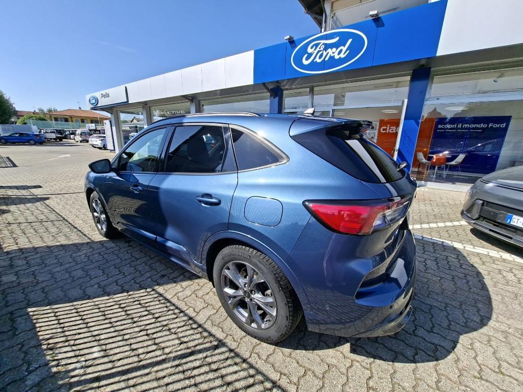 FORD Kuga III 2020 - Kuga 2.0 ecoblue ST-Line X 2wd 120cv auto