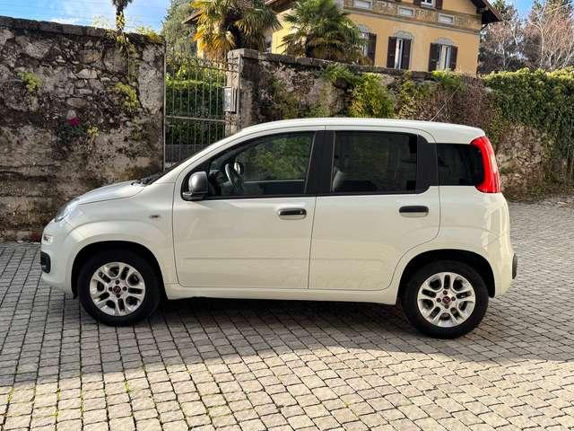 Fiat Panda 1.2 More 13.600km*Bluetooth*sensori di parcheggio*