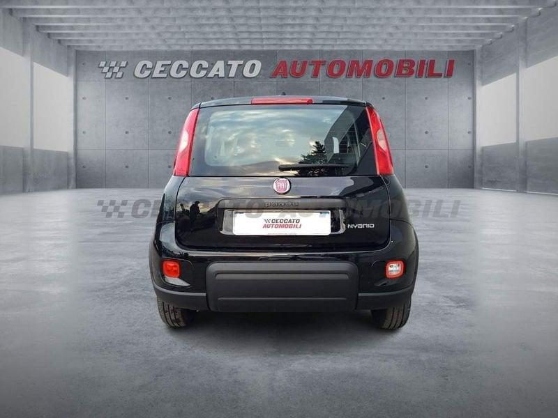 FIAT Panda Panda 1.0 firefly hybrid s&s 70cv