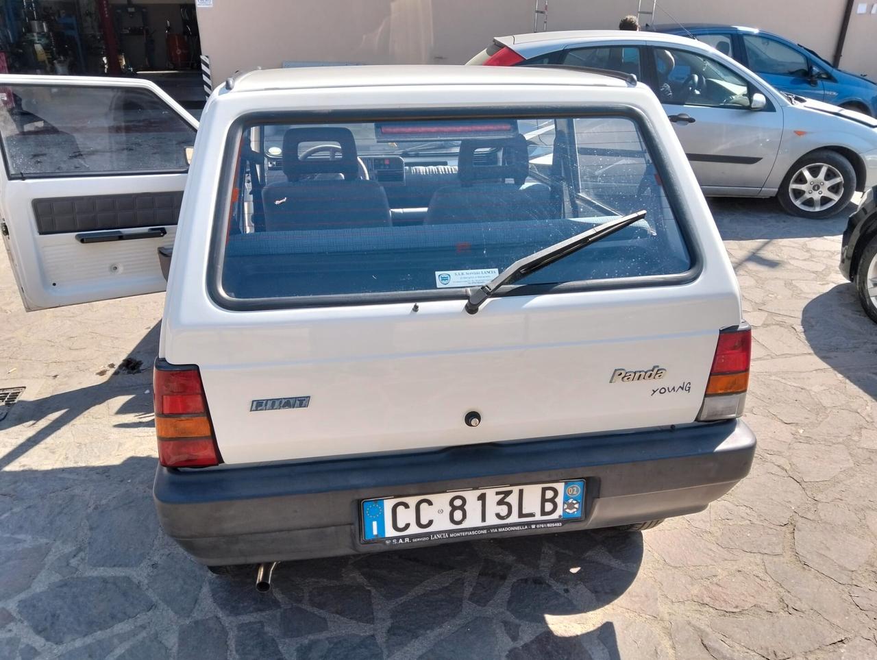 Fiat Panda 1100 i.e. cat Young