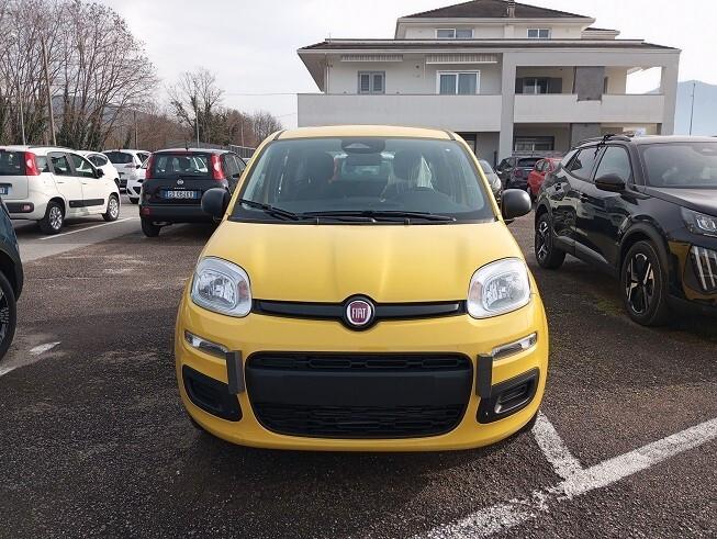 Fiat Panda PANDINA 1.0 65cv Hybrid ICON