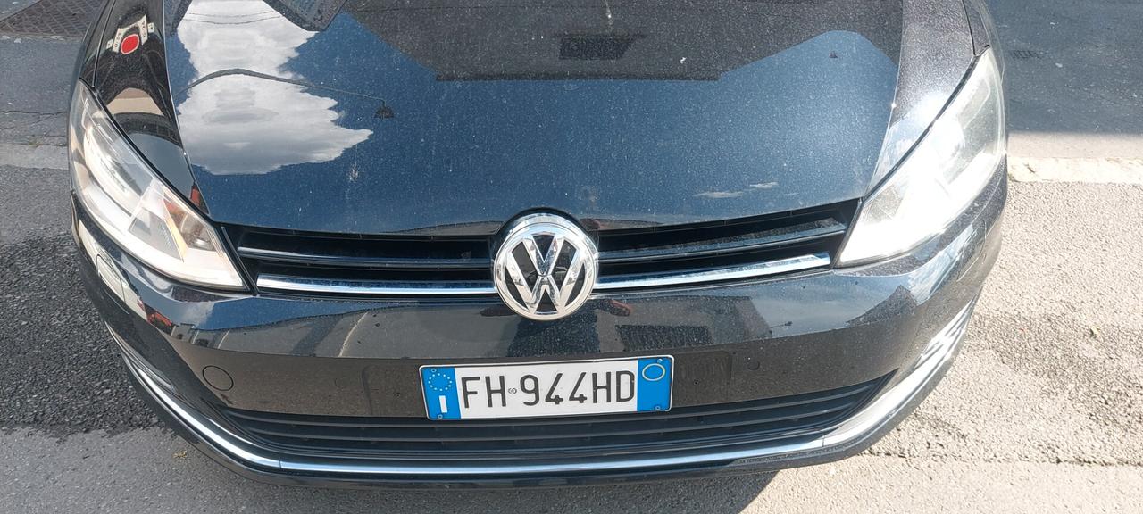Volkswagen Golf 1.6 TDI 110 CV 5p. EXECUTIVE EURO 6