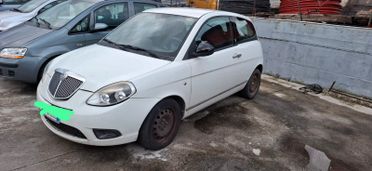 2010 Lancia Ypsilon 1.3 MJT 75 CV Platino