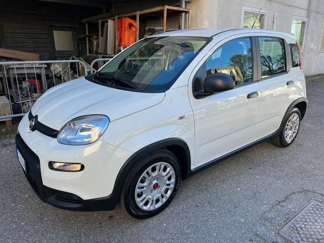 Fiat Panda 1.0 firefly hybrid s