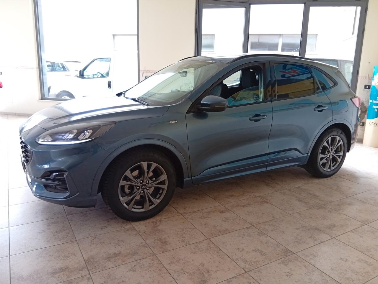 Ford Kuga 1.5 EcoBlue 120 CV aut. 2WD ST-Line