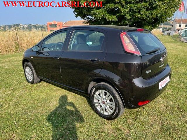FIAT Punto 1.4 8V 5 porte Natural Power Lounge