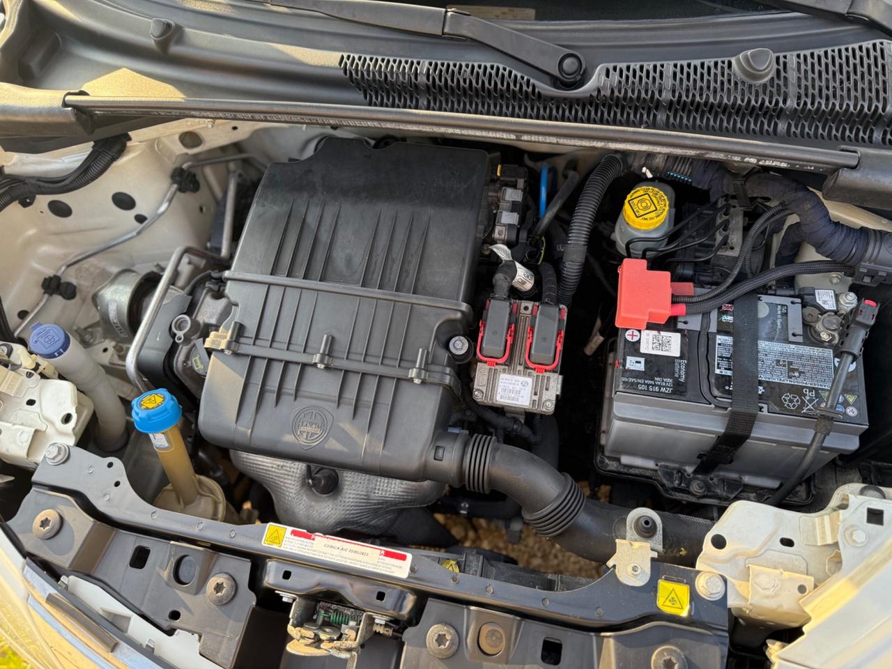 Lancia Ypsilon 1.2 69 CV 5 porte S&S Platinum