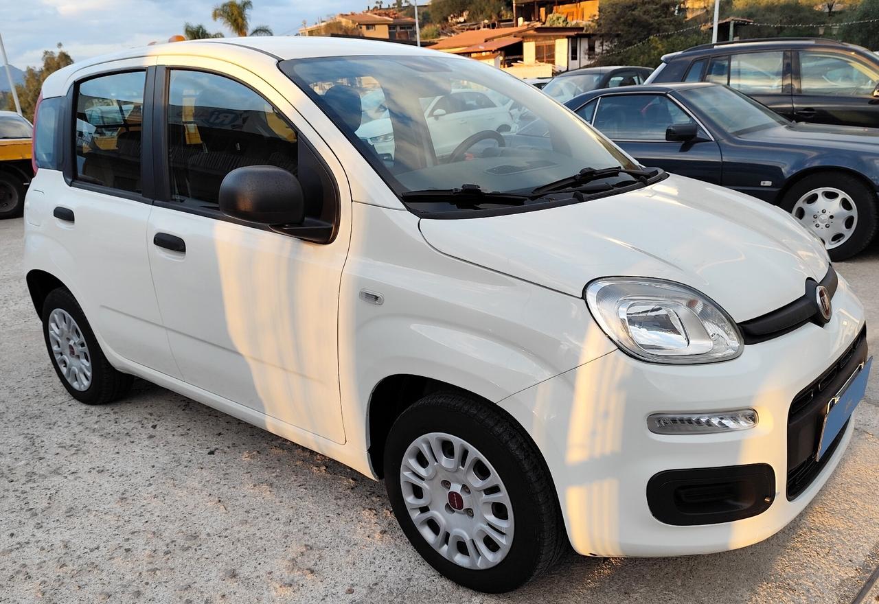 Fiat Panda 1.2 Easy Van 4 posti