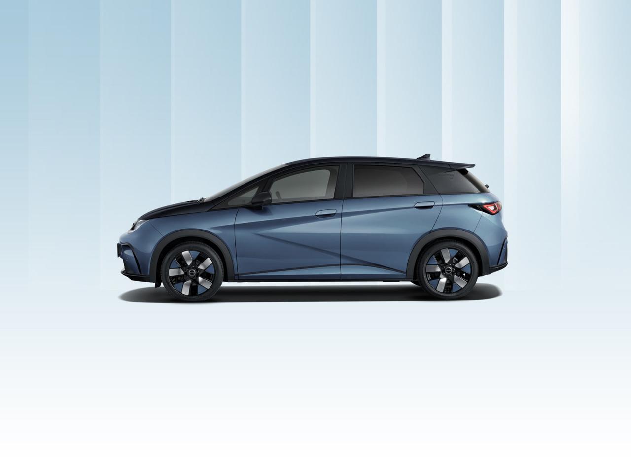 BYD BYD DOLPHIN Design