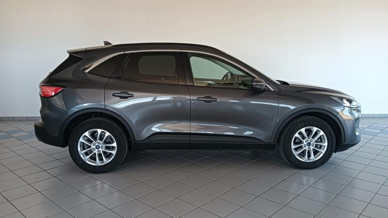 Ford Kuga 1.5 EcoBlue 120 CV 2WD Titanium Business