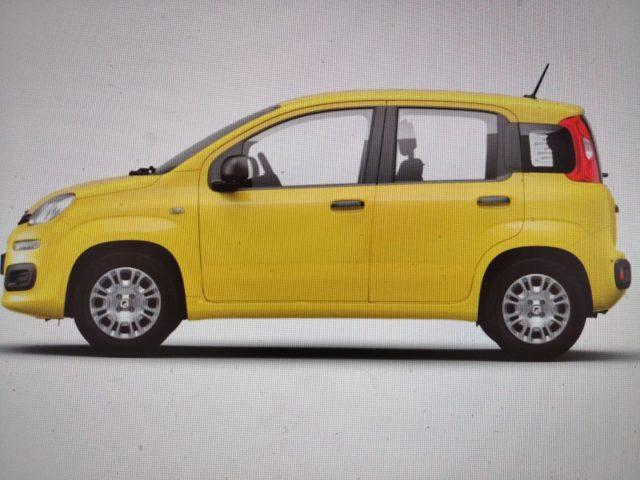 FIAT Panda 1.0 FireFly S&S Hybrid Pop km0
