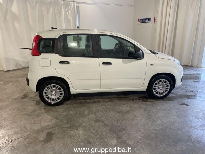 FIAT Panda 1.0 70cv Hybrid Panda