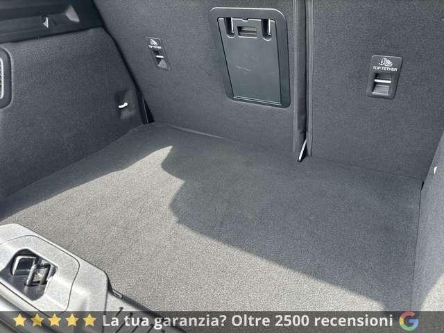 Ford Focus Active 1.5 ecoblue X 115cv auto