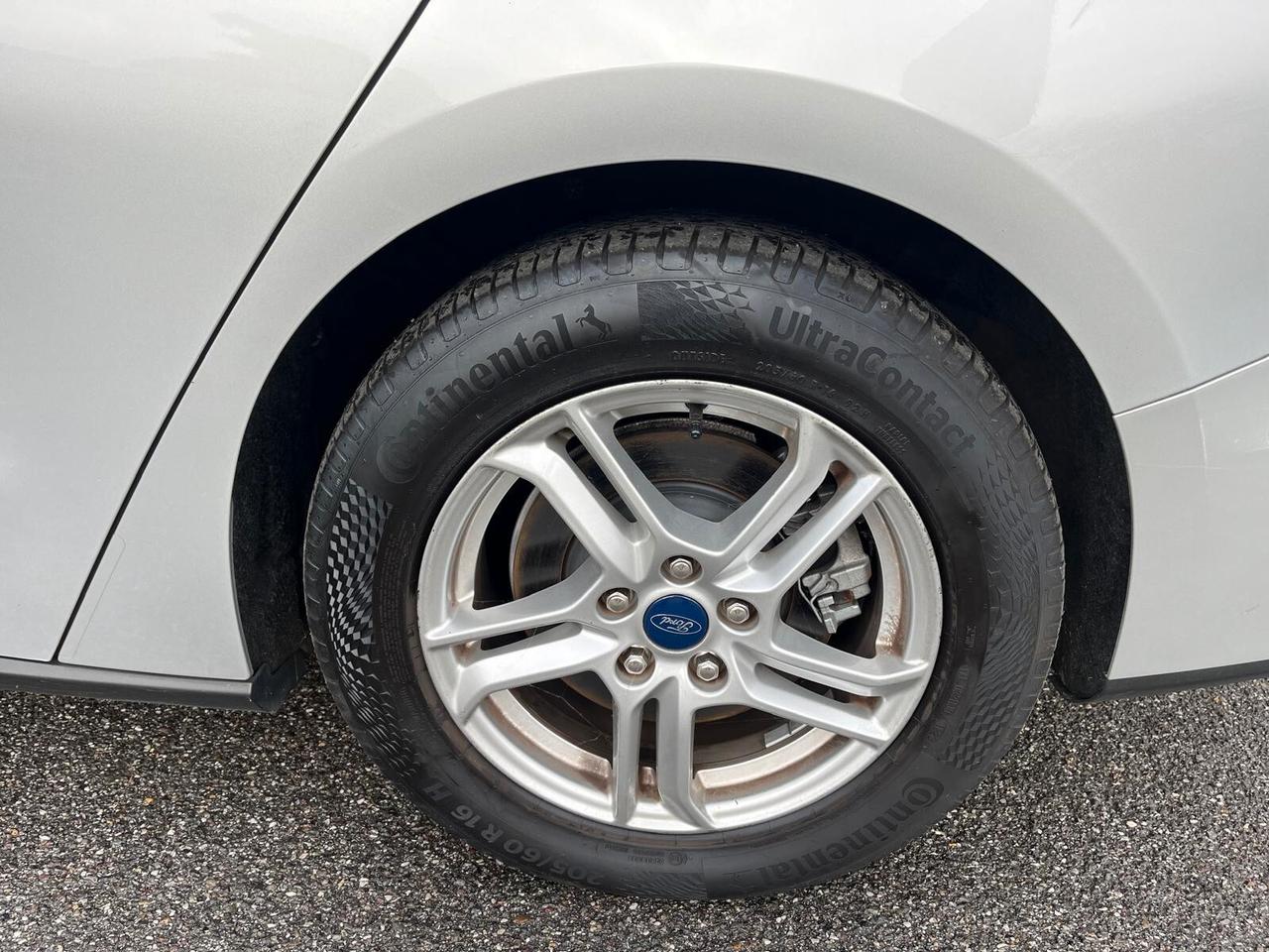 Ford Focus 1.5 EcoBlue 120 CV SW Business