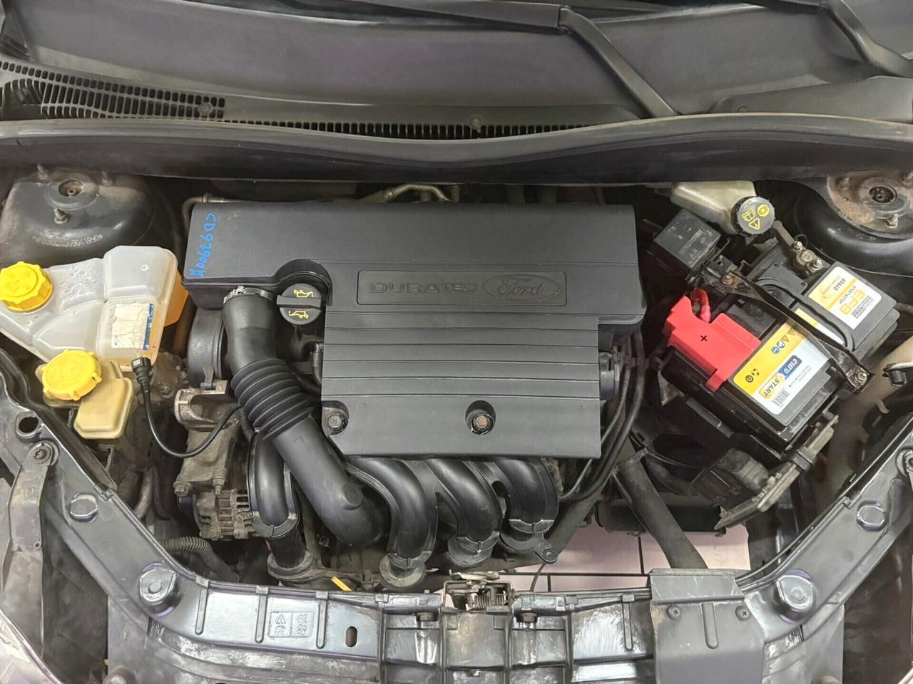 Ford Fusion 1.4 benzina 5 porte Titanium