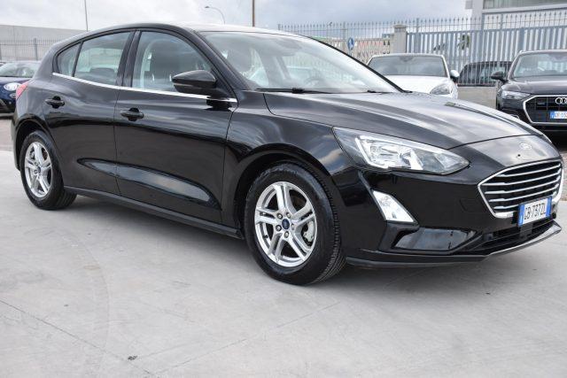 FORD Focus 1.5 EcoBlue 95 CV 5p. Business *Navigatore*