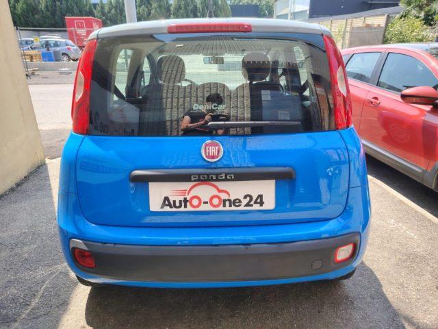 FIAT Panda 1.2 Pandazzurri UNICA-PREZZO REALE-FINANZIABILE