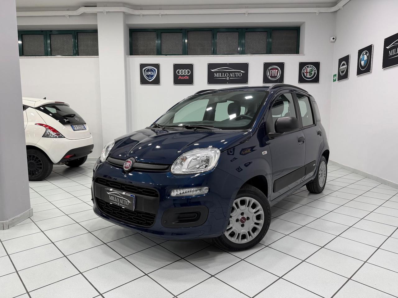 Fiat Panda 1.2cc 69cv Lounge UNICO PROPRIETARIO