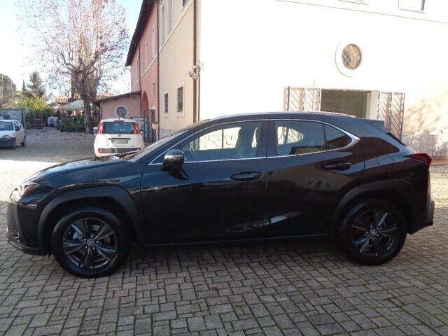 Lexus UX 250 Hybrid Business NO VINCOLO DI FINANZIAMENTO