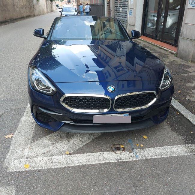 Bmw Z4 sDrive20i Advantage