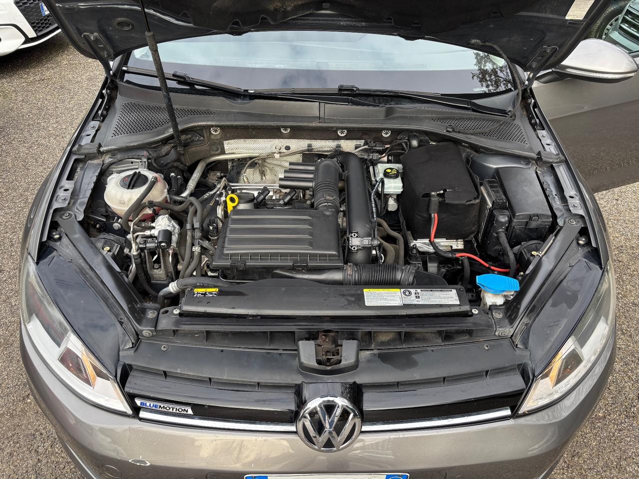 Volkswagen Golf 1.4 TGI 5p. Comfortline