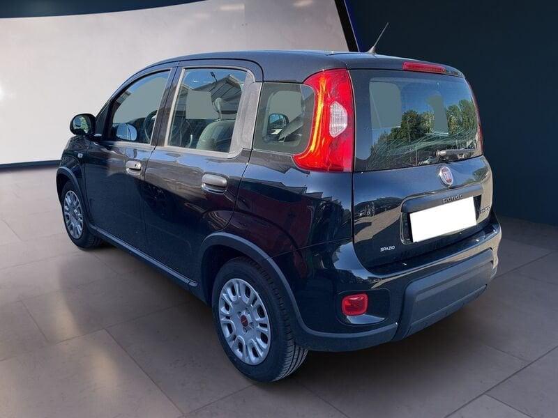 FIAT Panda My24 1.0 70cv Hybrid Panda